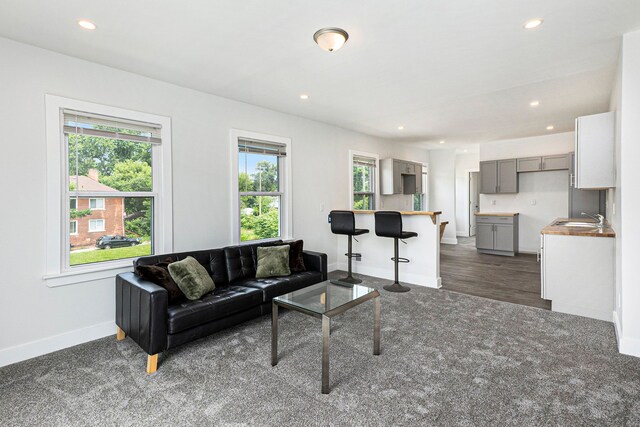 392 Philip St, Detroit, MI 48215 - living room featuring plenty of natural light, recessed lighting, baseboards, dark carpet, and dark wood-type flooring