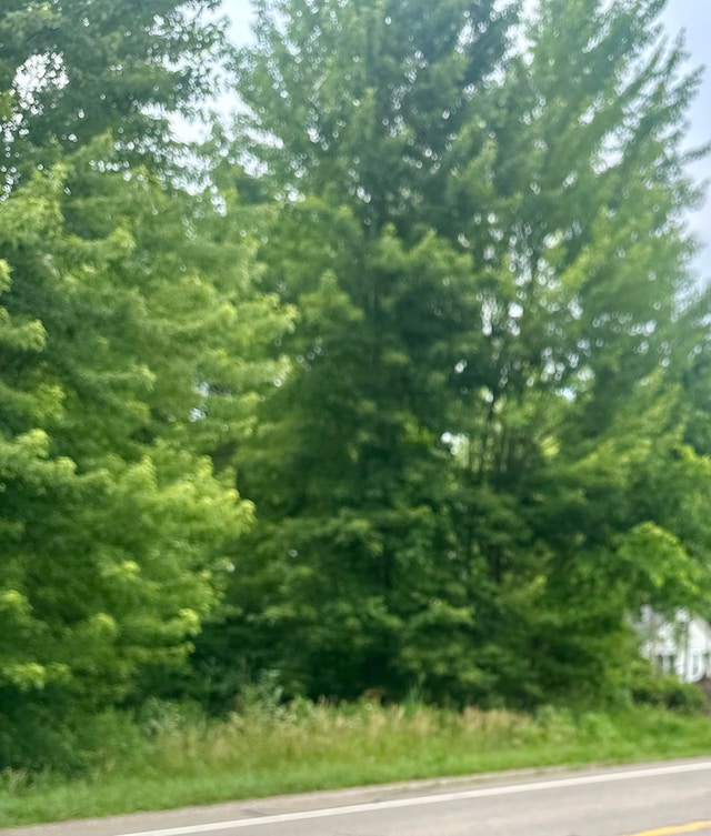 0 Oakville Waltz Rd, Huron, MI 48164
