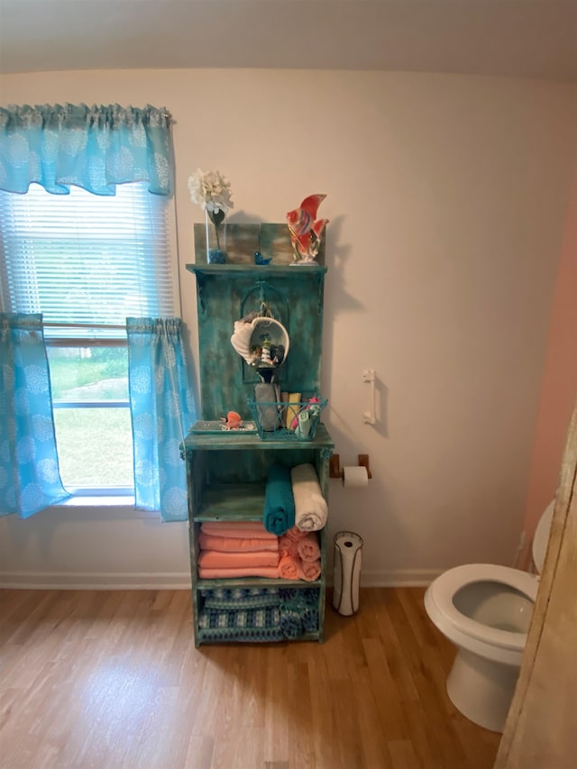 bathroom with toilet and hardwood / wood-style flooring