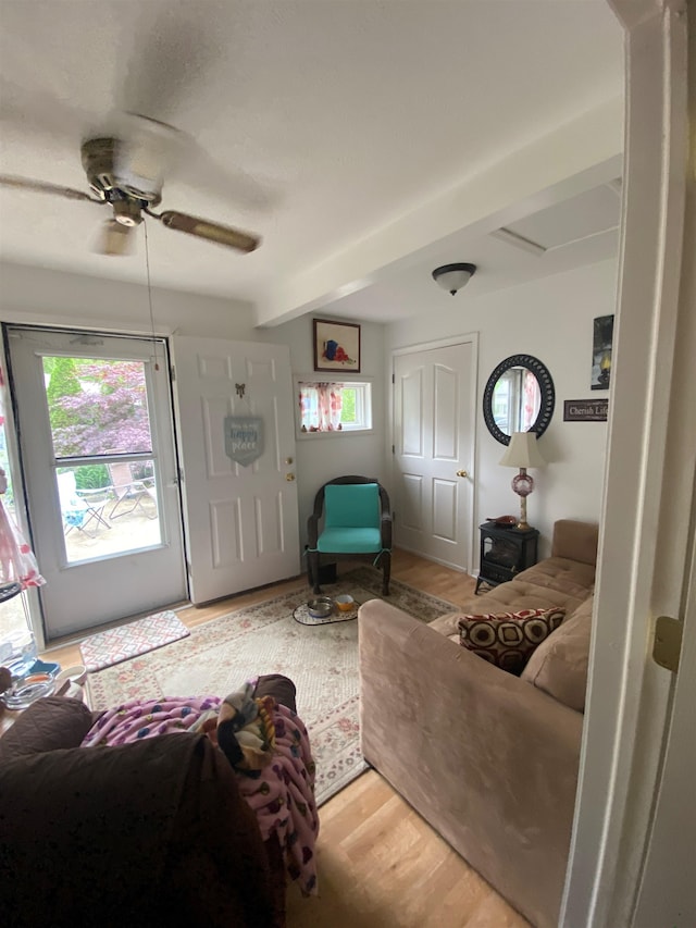 living room featuring beamed ceiling, ceiling fan, and light hardwood / wood-style floors