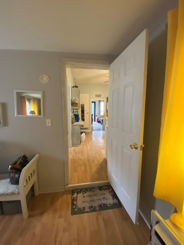 corridor with wood-type flooring