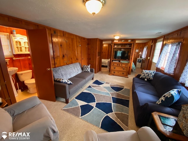 living room featuring wooden walls, light colored carpet, and a textured ceiling