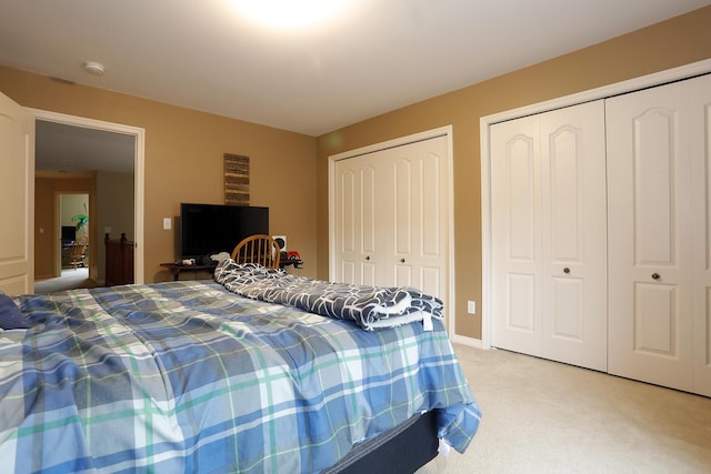 807 War Bonnet Dr, Tecumseh, MI 49286 - bedroom featuring two closets and light carpet