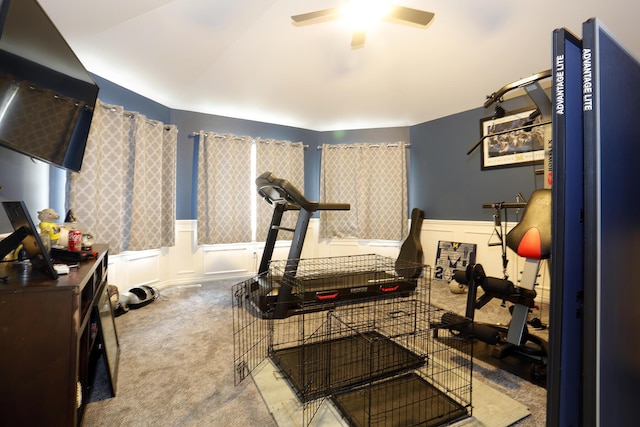 807 War Bonnet Dr, Tecumseh, MI 49286 - exercise room with a decorative wall, a wainscoted wall, carpet, and ceiling fan