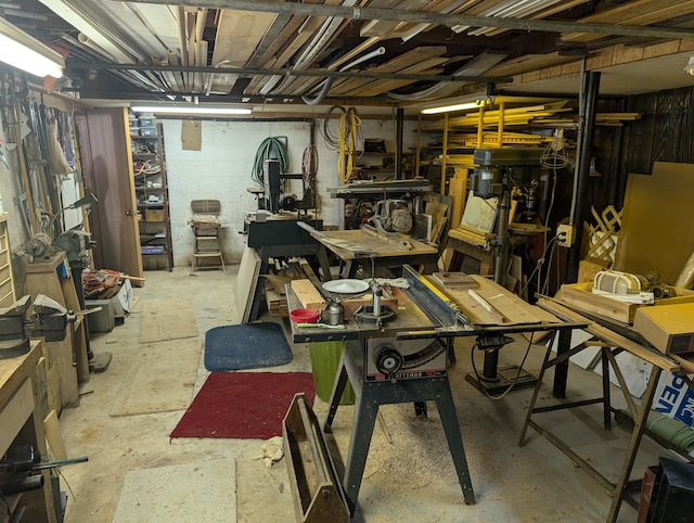 basement with a workshop area