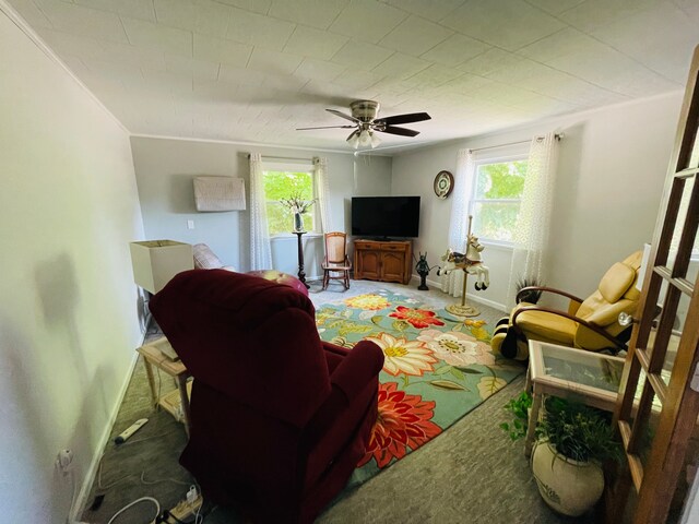 11424 W Corunna Rd, Lennon, MI 48449 - carpeted living area with plenty of natural light, a ceiling fan, and baseboards