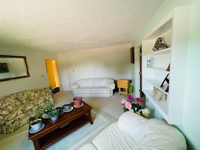 11424 W Corunna Rd, Lennon, MI 48449 - carpeted living area featuring a textured ceiling