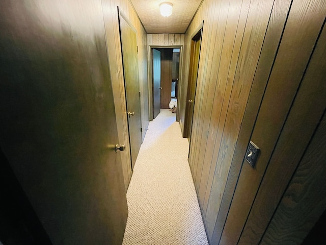 11424 W Corunna Rd, Lennon, MI 48449 - hallway with wooden walls