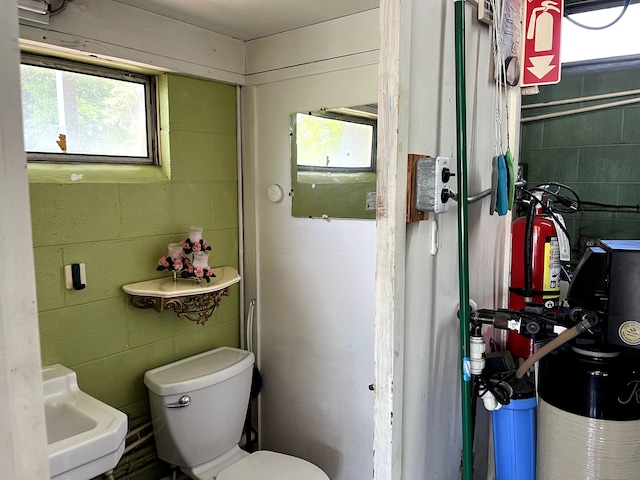11424 W Corunna Rd, Lennon, MI 48449 - bathroom with toilet, a sink, and concrete block wall