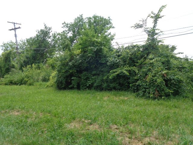 537 Jefferson, Detroit, MI 48207