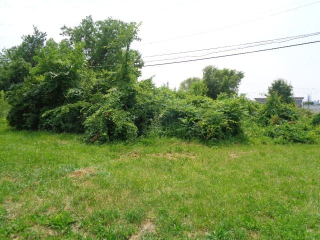 537 Jefferson, Detroit, MI 48207