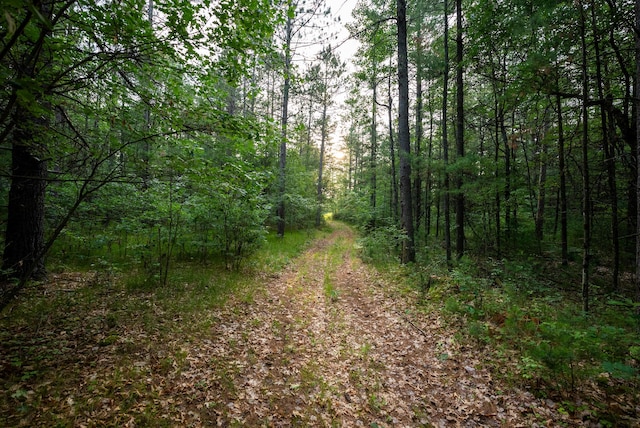 404 Barry Dr, Alger, MI 48610