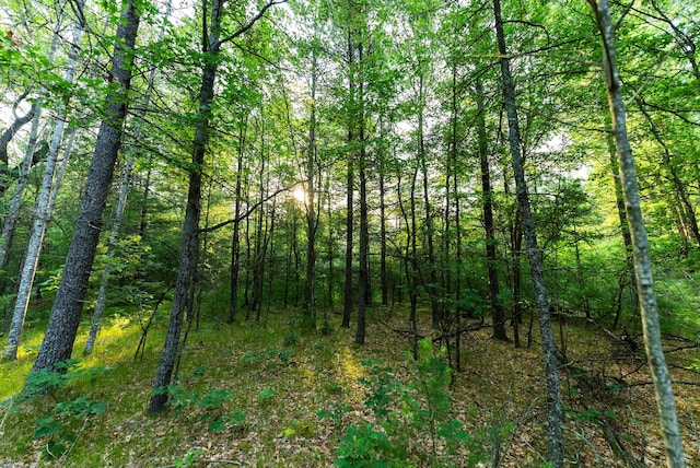 404 Barry Dr, Alger, MI 48610