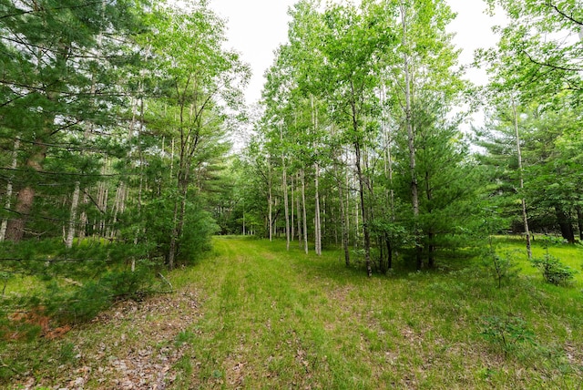 404 Barry Dr, Alger, MI 48610