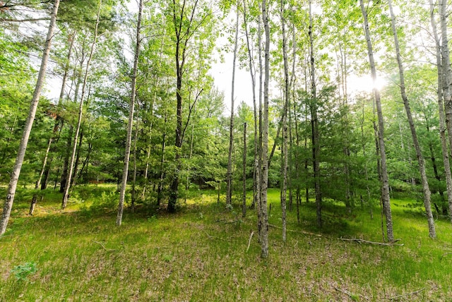 404 Barry Dr, Alger, MI 48610
