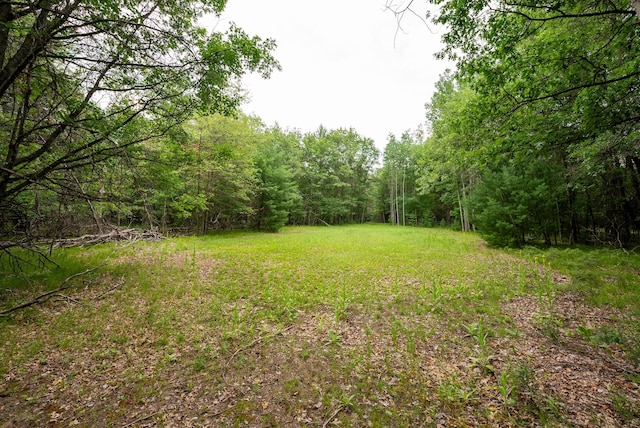 404 Barry Dr, Alger, MI 48610