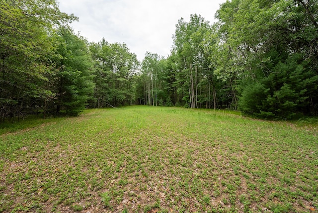 404 Barry Dr, Alger, MI 48610