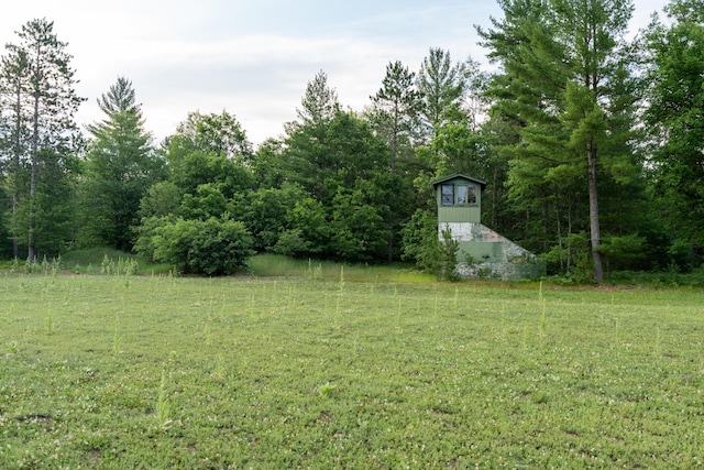 404 Barry Dr, Alger, MI 48610