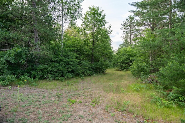 404 Barry Dr, Alger, MI 48610