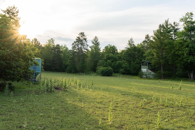 404 Barry Dr, Alger, MI 48610