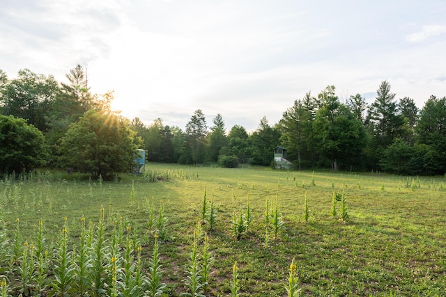 404 Barry Dr, Alger, MI 48610