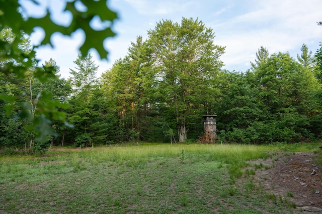 404 Barry Dr, Alger, MI 48610