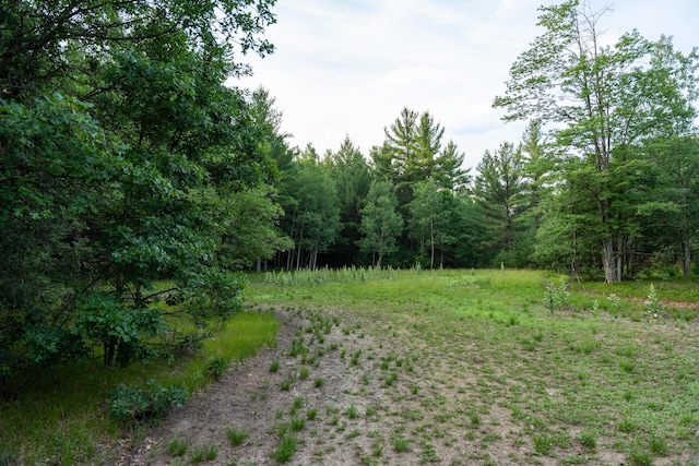 404 Barry Dr, Alger, MI 48610