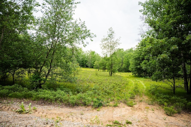404 Barry Dr, Alger, MI 48610