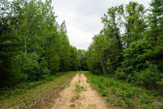 404 Barry Dr, Alger, MI 48610