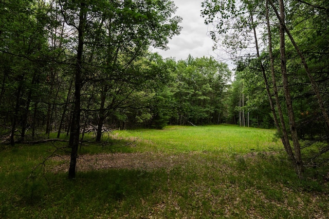 404 Barry Dr, Alger, MI 48610