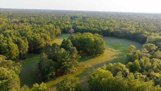 404 Barry Dr, Alger, MI 48610