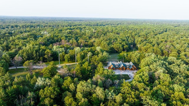 404 Barry Dr, Alger, MI 48610