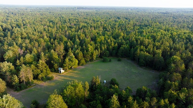 404 Barry Dr, Alger, MI 48610