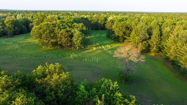404 Barry Dr, Alger, MI 48610