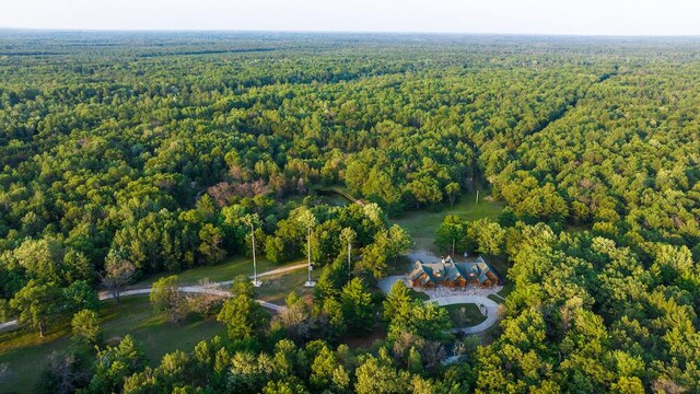 404 Barry Dr, Alger, MI 48610