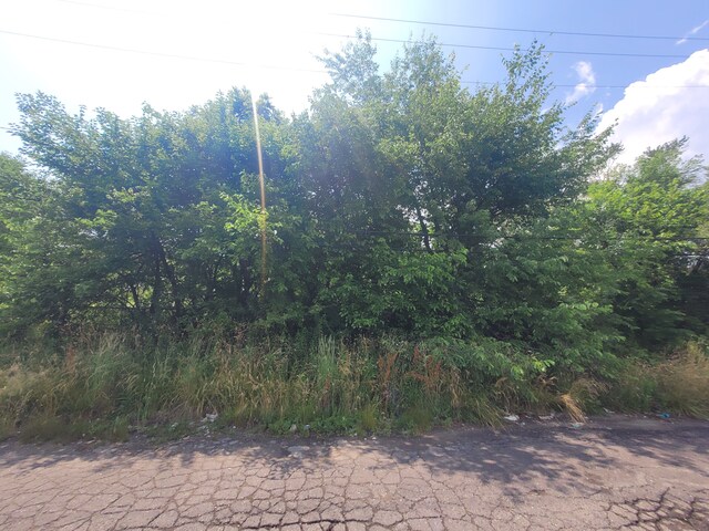 9585 Iris St, Detroit, MI 48227
