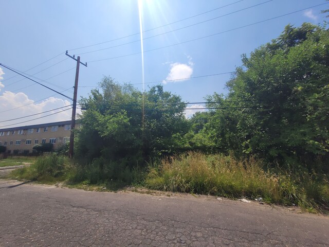 9585 Iris St, Detroit, MI 48227