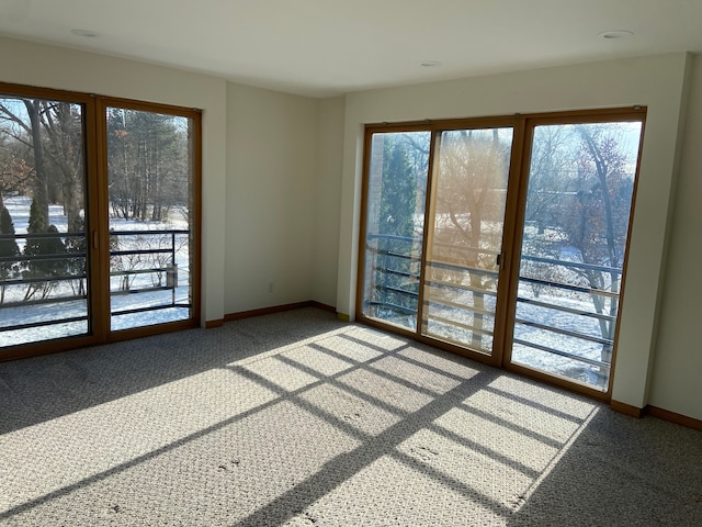 spare room with carpet flooring