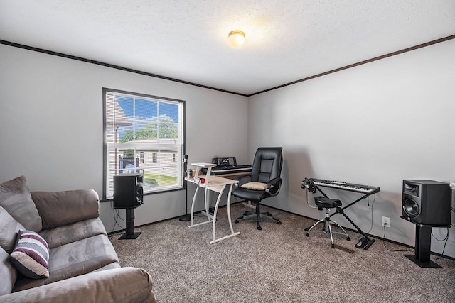 carpeted office space with ornamental molding and a textured ceiling