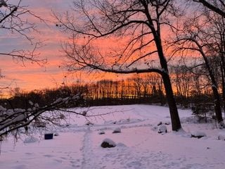 view of snow covered land