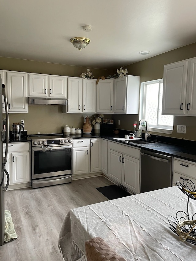 171 Legacy Park Cir, Dearborn Heights, MI 48127 - kitchen featuring appliances with stainless steel finishes, under cabinet range hood, a sink, white cabinets, and light wood-style flooring
