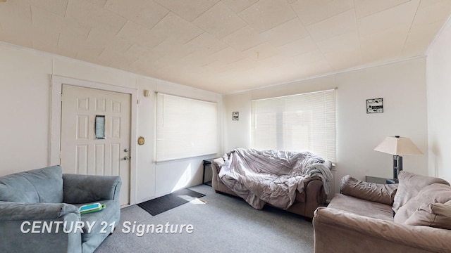 carpeted living room featuring ornamental molding