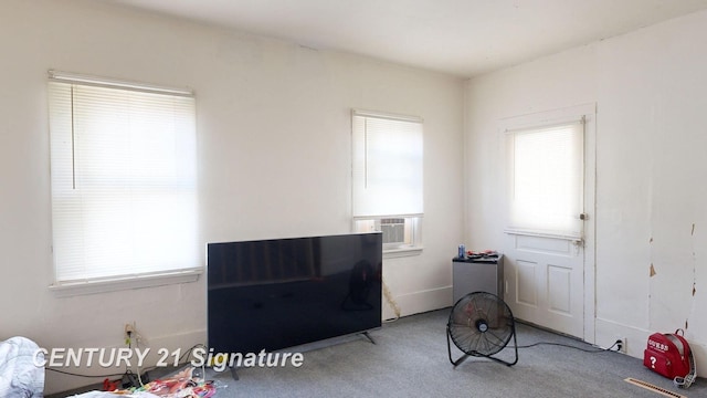 miscellaneous room with carpet floors, plenty of natural light, and cooling unit