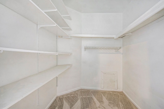 spacious closet with carpet flooring