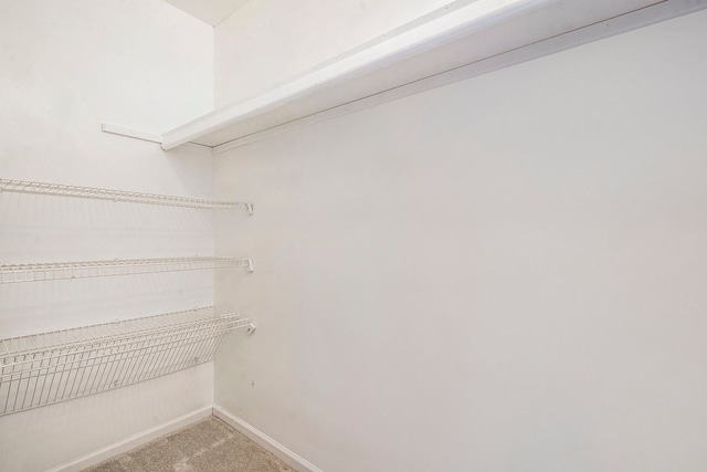 spacious closet featuring carpet flooring