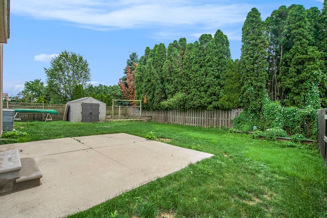 view of yard with a patio area and a storage unit