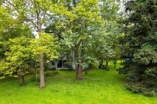 37539 Palmer Woods Blvd, Sterling Heights, MI 48312 - view of green lawn