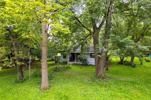 37539 Palmer Woods Blvd, Sterling Heights, MI 48312 - view of green lawn