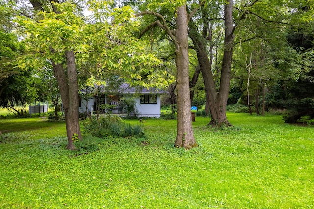 37539 Palmer Woods Blvd, Sterling Heights, MI 48312 - view of green lawn