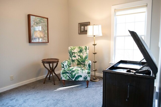 sitting room with carpet